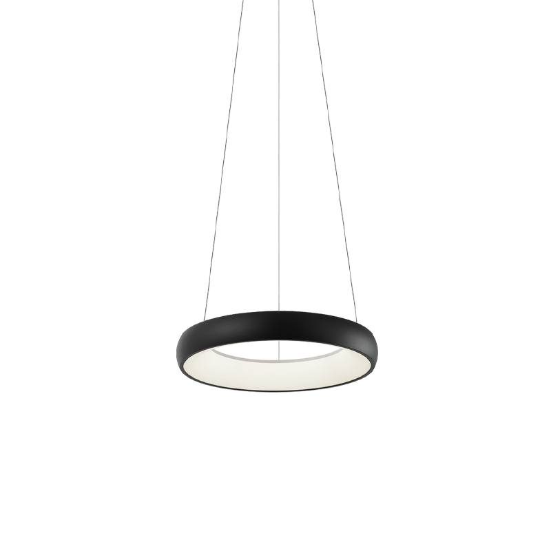 Steel Ring Frame with White Acrylic Diffuser Chandelier / Pendant