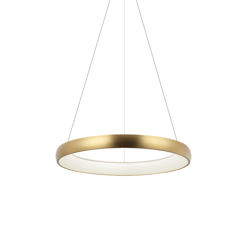 Steel Ring Frame with White Acrylic Diffuser Chandelier / Pendant