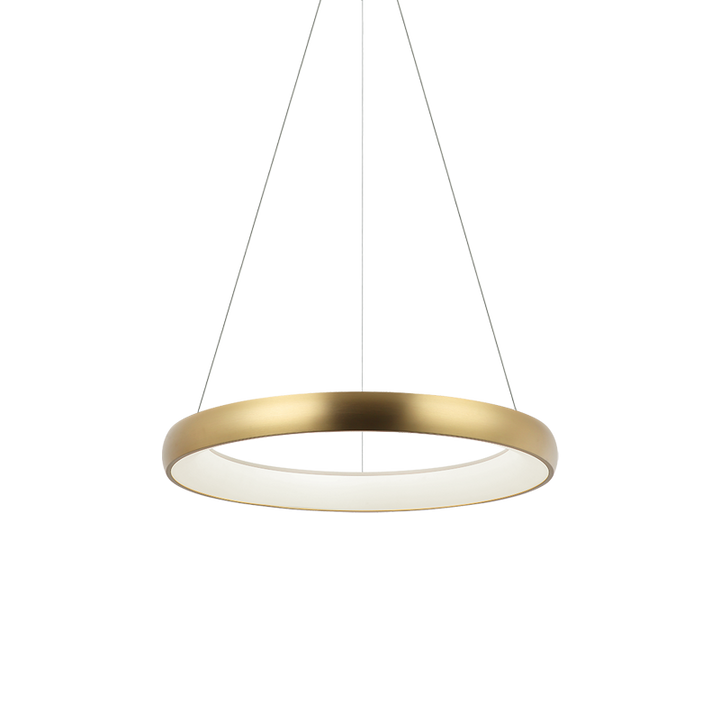 Steel Ring Frame with White Acrylic Diffuser Chandelier / Pendant
