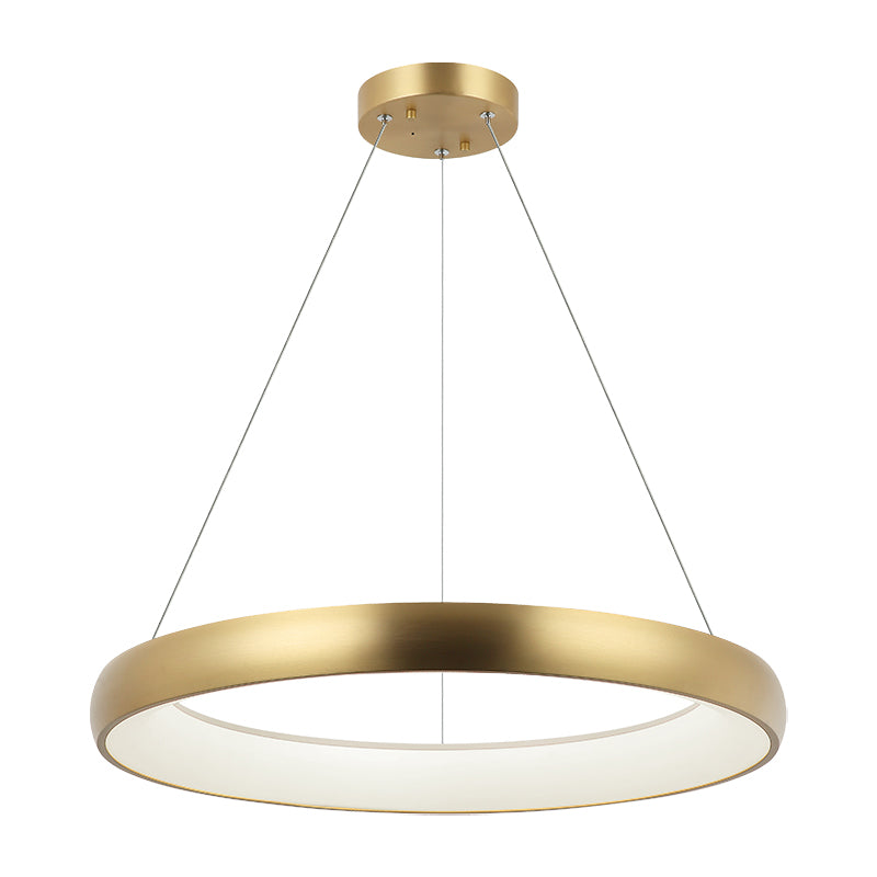 Steel Ring Frame with White Acrylic Diffuser Chandelier / Pendant