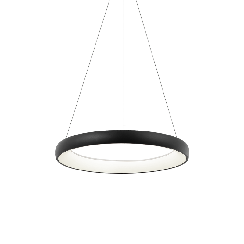 Steel Ring Frame with White Acrylic Diffuser Chandelier / Pendant