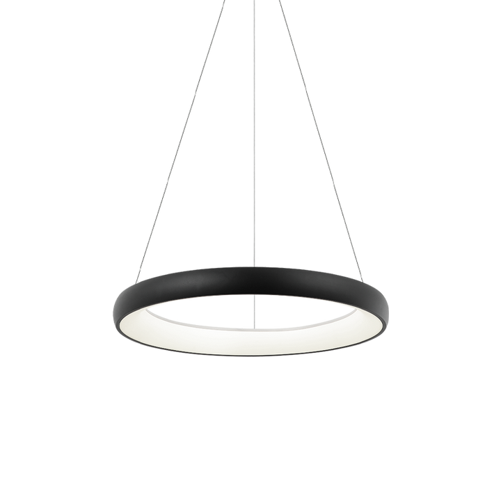 Steel Ring Frame with White Acrylic Diffuser Chandelier / Pendant
