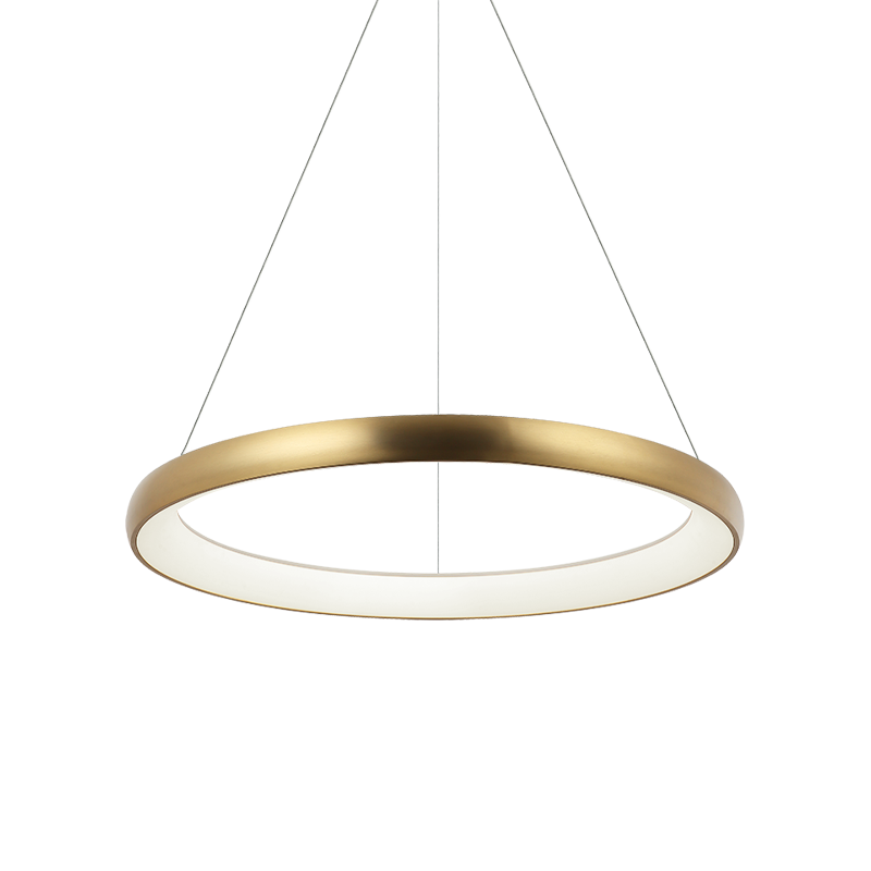 Steel Ring Frame with White Acrylic Diffuser Chandelier / Pendant