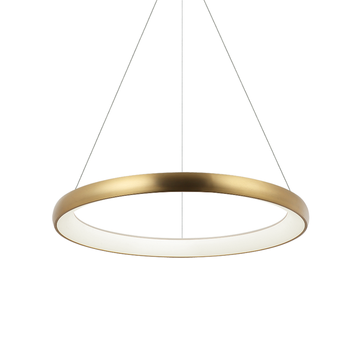 Steel Ring Frame with White Acrylic Diffuser Chandelier / Pendant