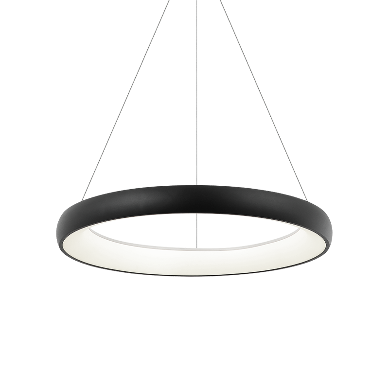 Steel Ring Frame with White Acrylic Diffuser Chandelier / Pendant