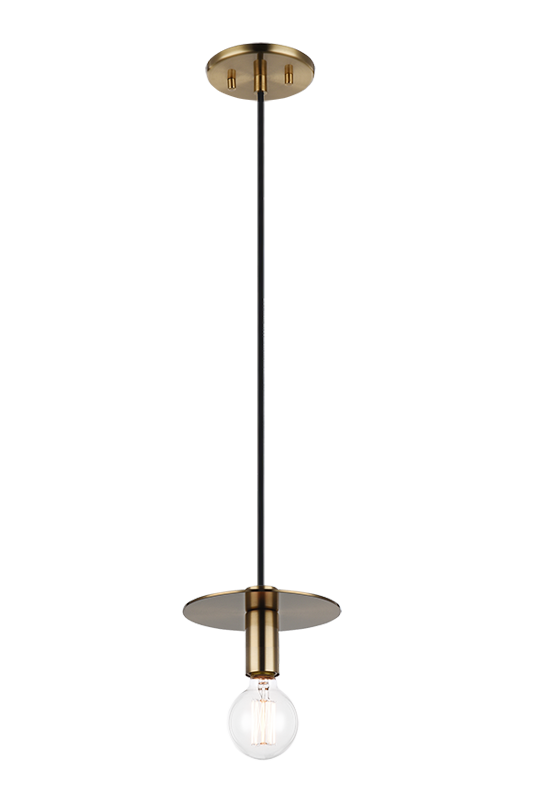 Kasa - 1 Light Pendant