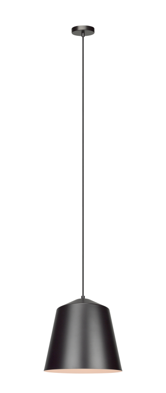 Encase - 1 Light Pendant
