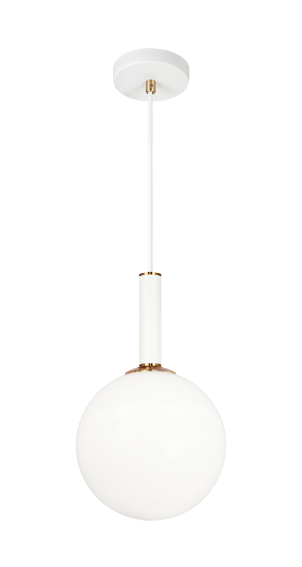 Steel Frame with Glass Globe Pendant