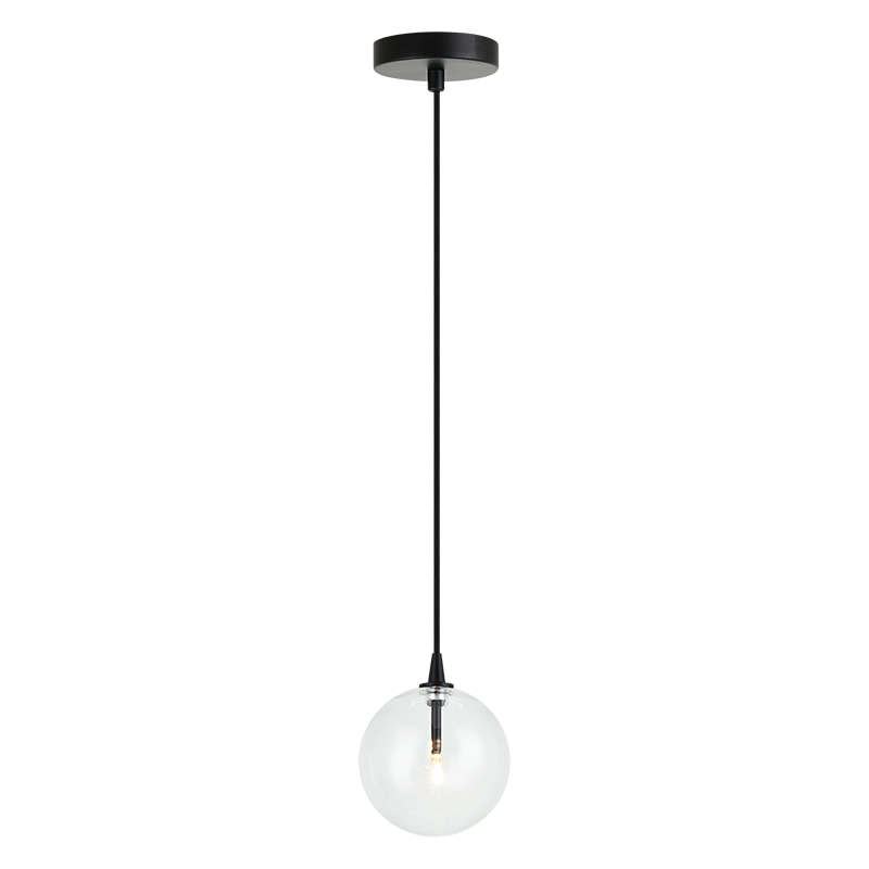 Steel Frame with Clear Glass Globe Pendant