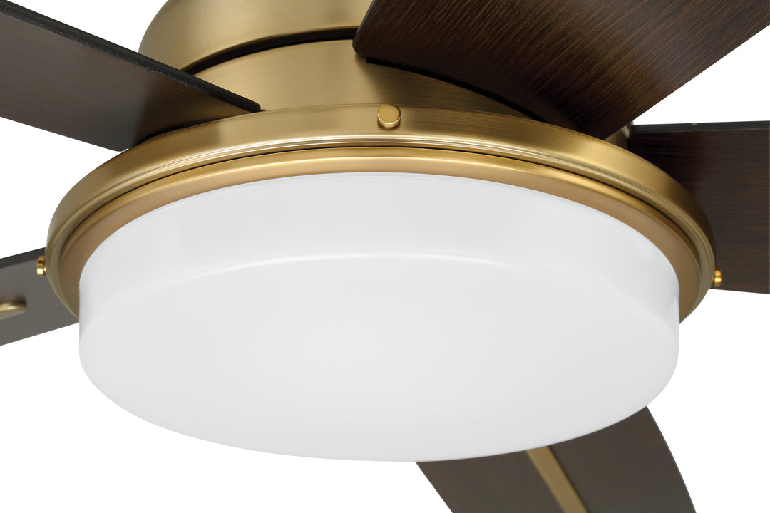 Drew 54" Ceiling Fan