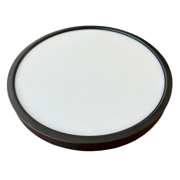 CNA DS Series LED Disk Light - 3CCT