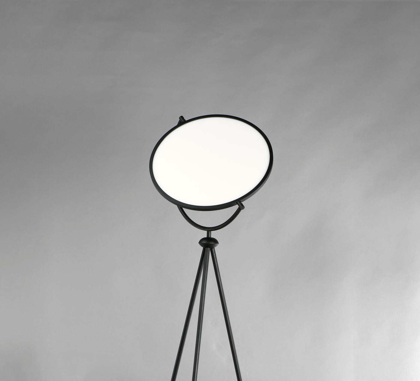 Paddle - LED Floor Lamp