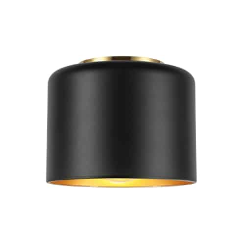 Emilia 1 Light Incandescent Flush Mount in Black & Aged Brass by Dainolite