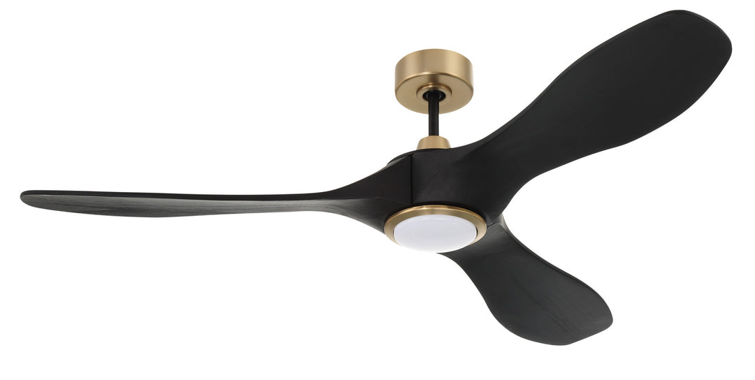 Envy Ceiling Fan by Craftmade - view 23