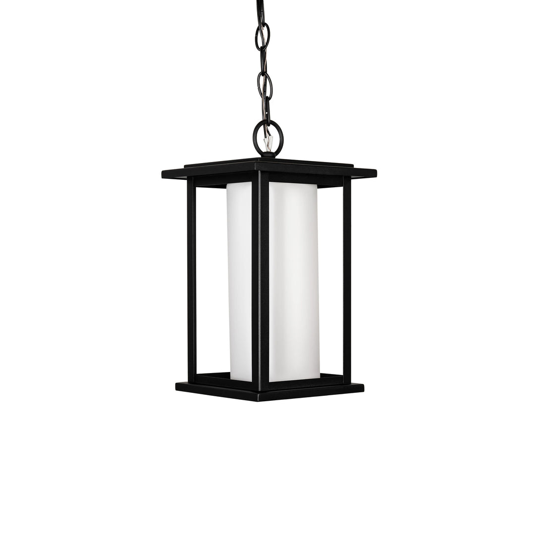Harborview Outdoor Pendant in Black with Frosted Glass by Russell