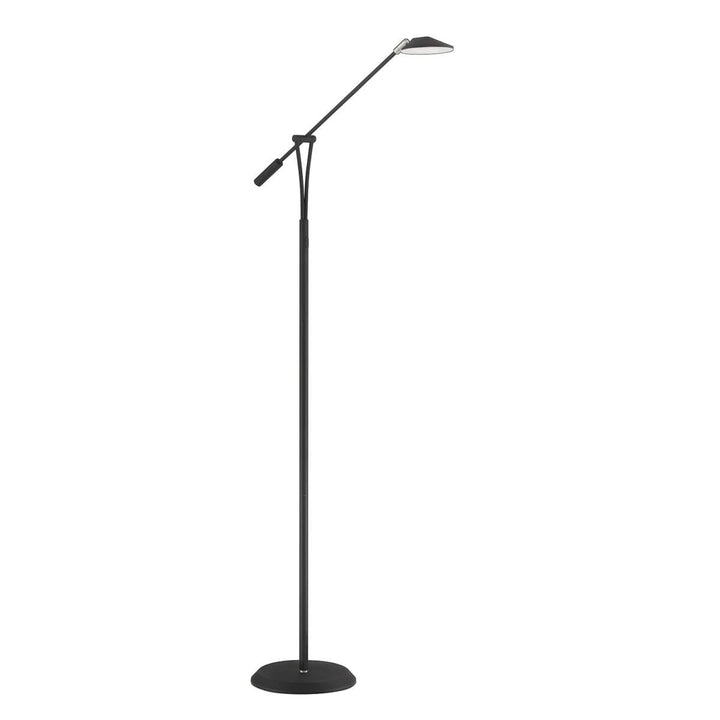 Lahoya - Floor Lamp