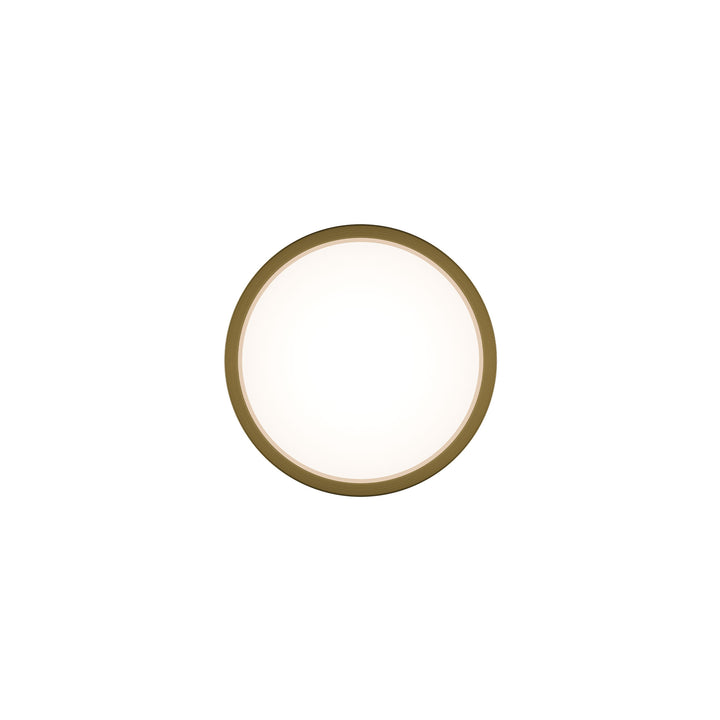 Salvo Ceiling Mount 4CCT