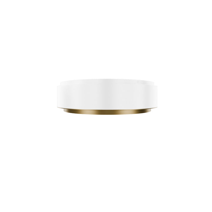 Salvo Ceiling Mount 4CCT
