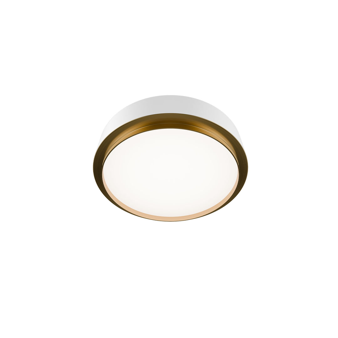 Salvo Ceiling Mount 4CCT