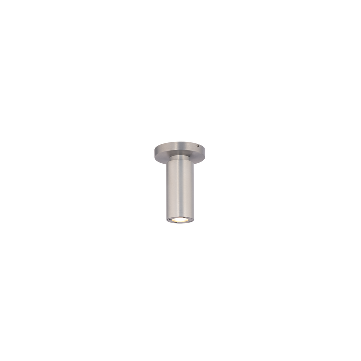 Caliber Outdoor Ceiling Mount in Brushed Aluminum by WAC Lighting