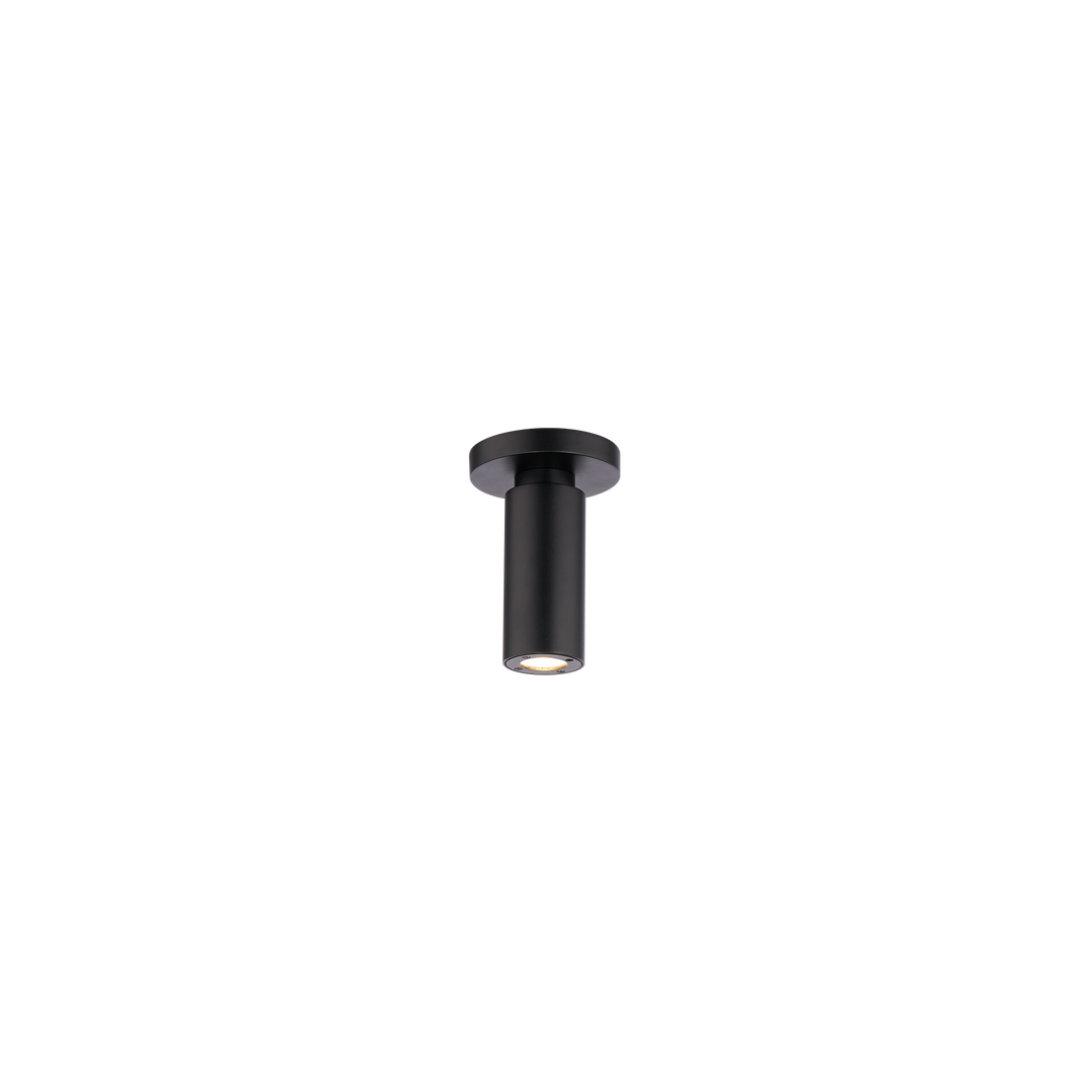 Caliber Outdoor Ceiling Mount in Black by WAC Lighting