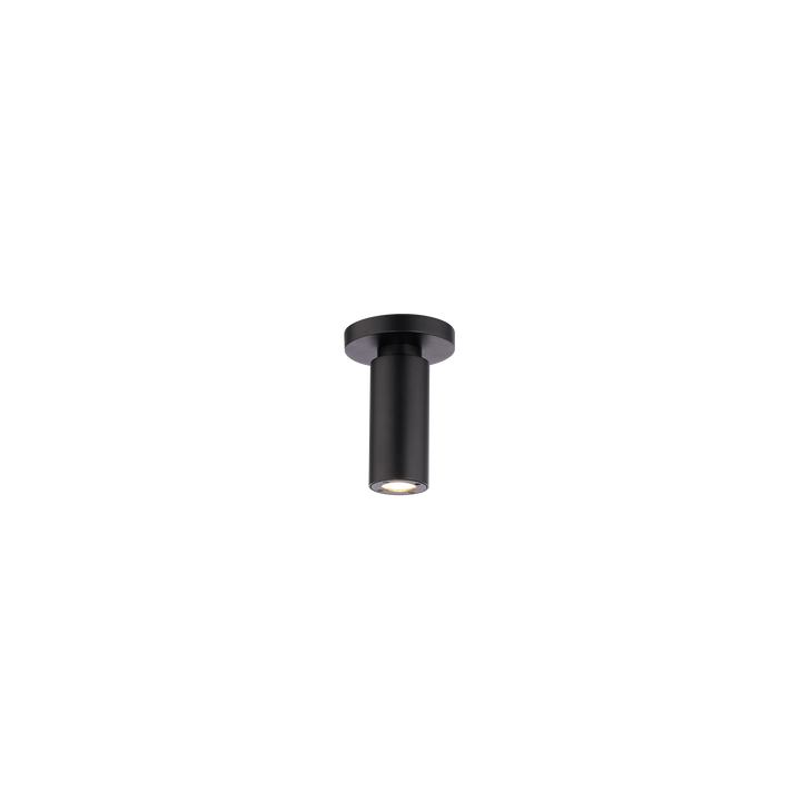 Caliber Outdoor Ceiling Mount in Black by WAC Lighting