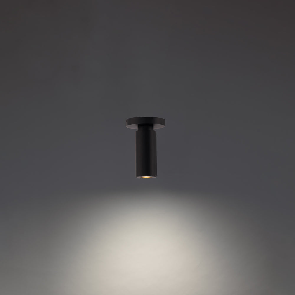 Caliber Outdoor Ceiling Mount by WAC Lighting - view 2