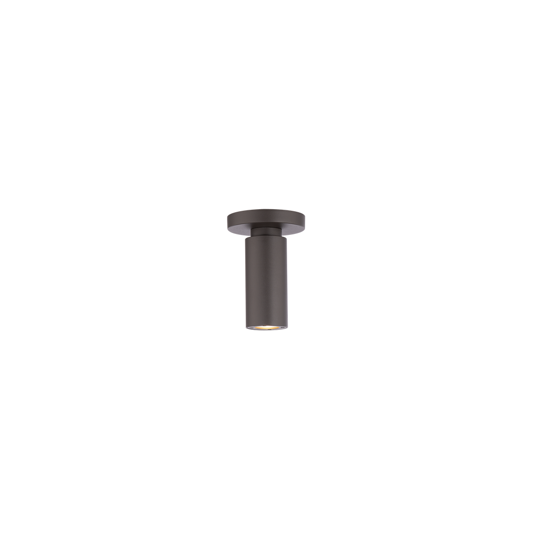 Caliber Outdoor Ceiling Mount in Bronze by WAC Lighting