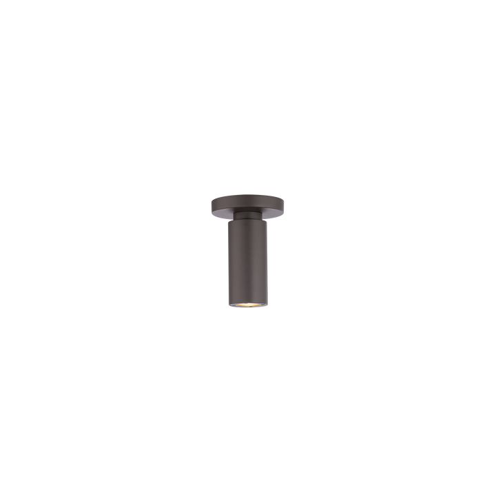 Caliber Outdoor Ceiling Mount in Bronze by WAC Lighting