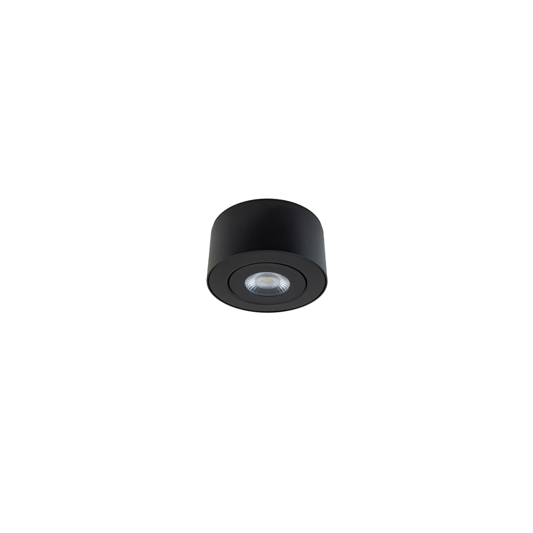 Peek Outdoor Ceiling Mount in Black by WAC Lighting