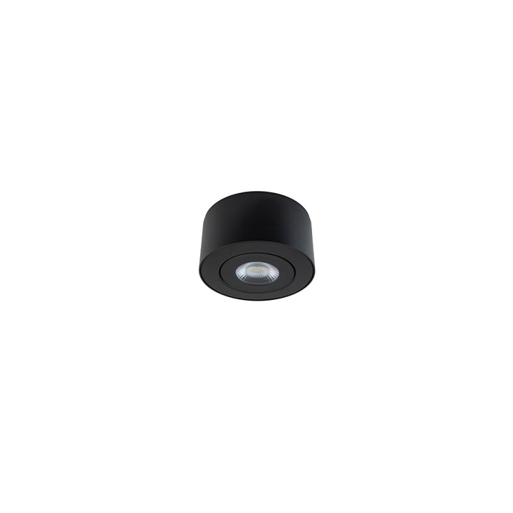 Peek Outdoor Ceiling Mount in Black by WAC Lighting