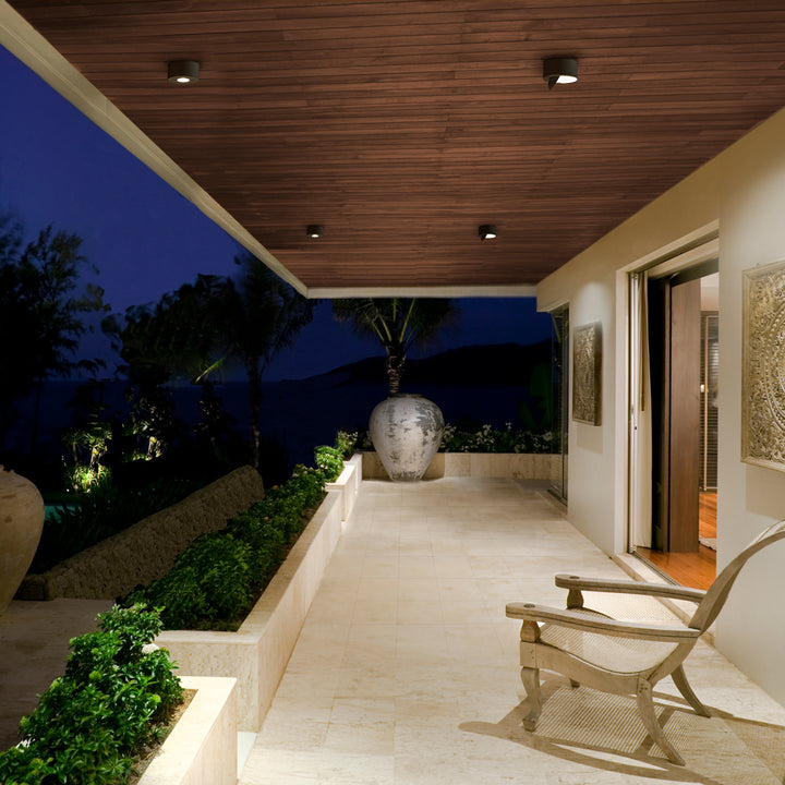 Peek Outdoor Ceiling Mount by WAC Lighting - view 6