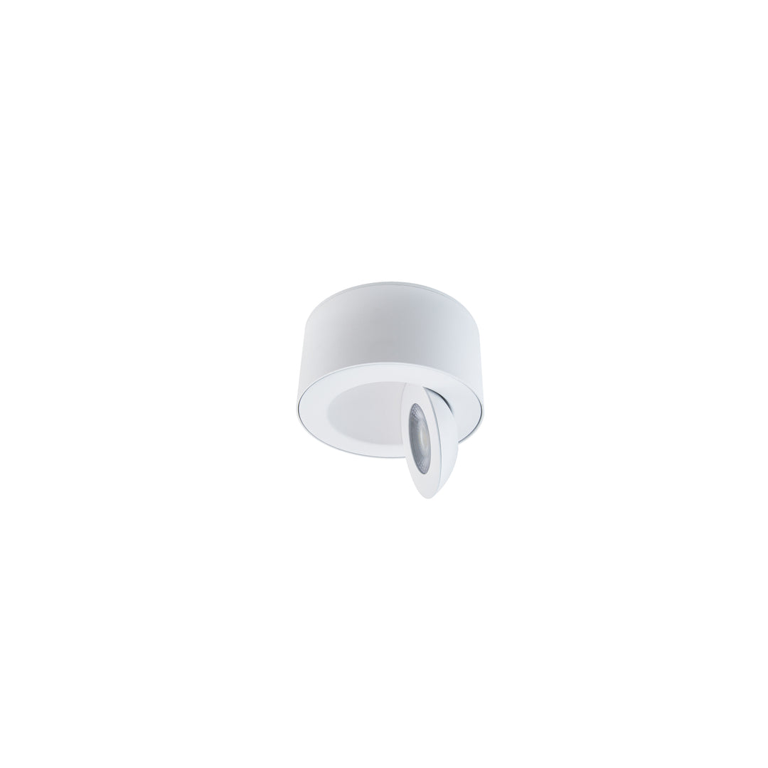 Peek Outdoor Ceiling Mount in White by WAC Lighting