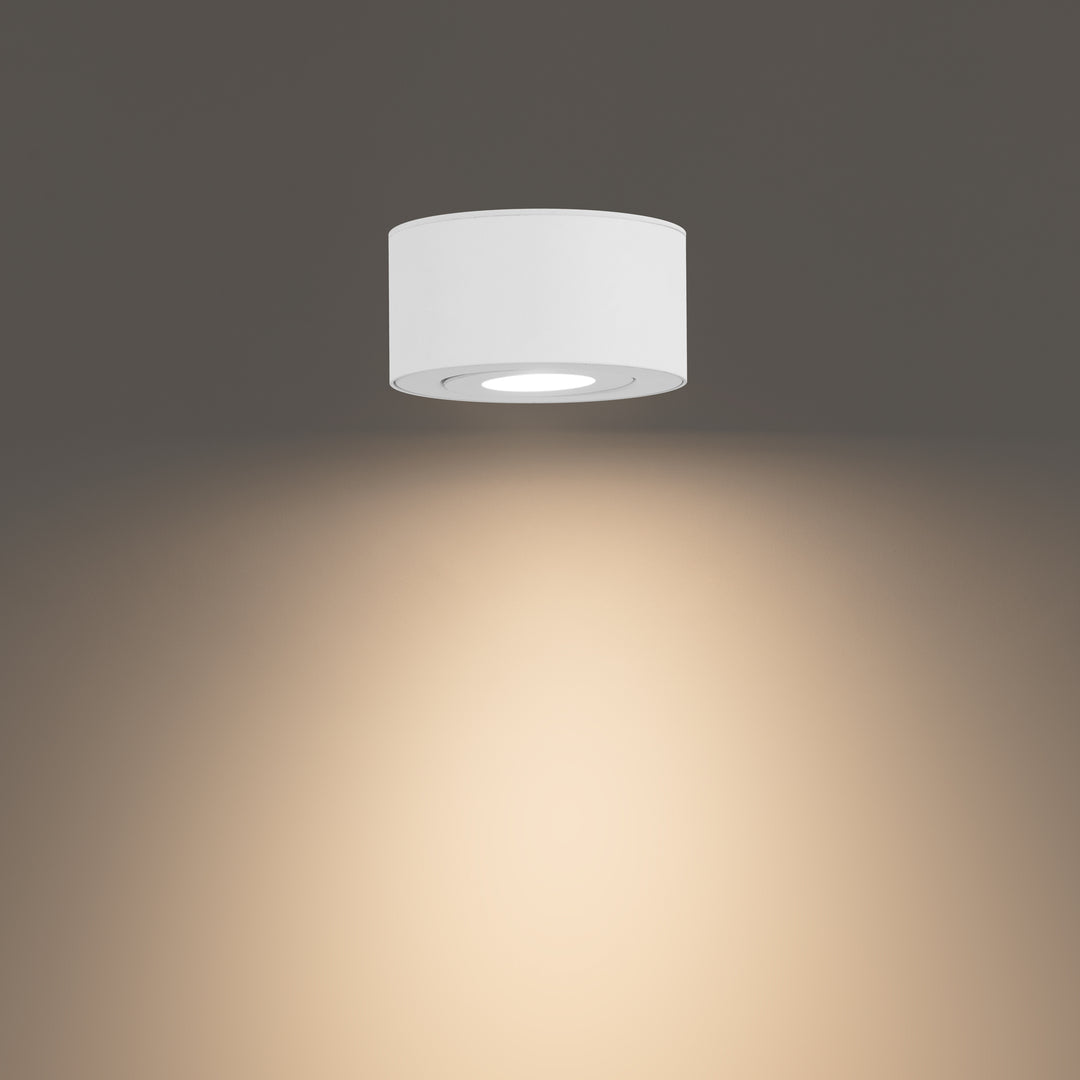 Peek Outdoor Ceiling Mount by WAC Lighting - view 3