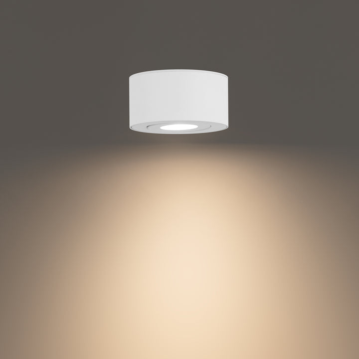 Peek Outdoor Ceiling Mount by WAC Lighting - view 3