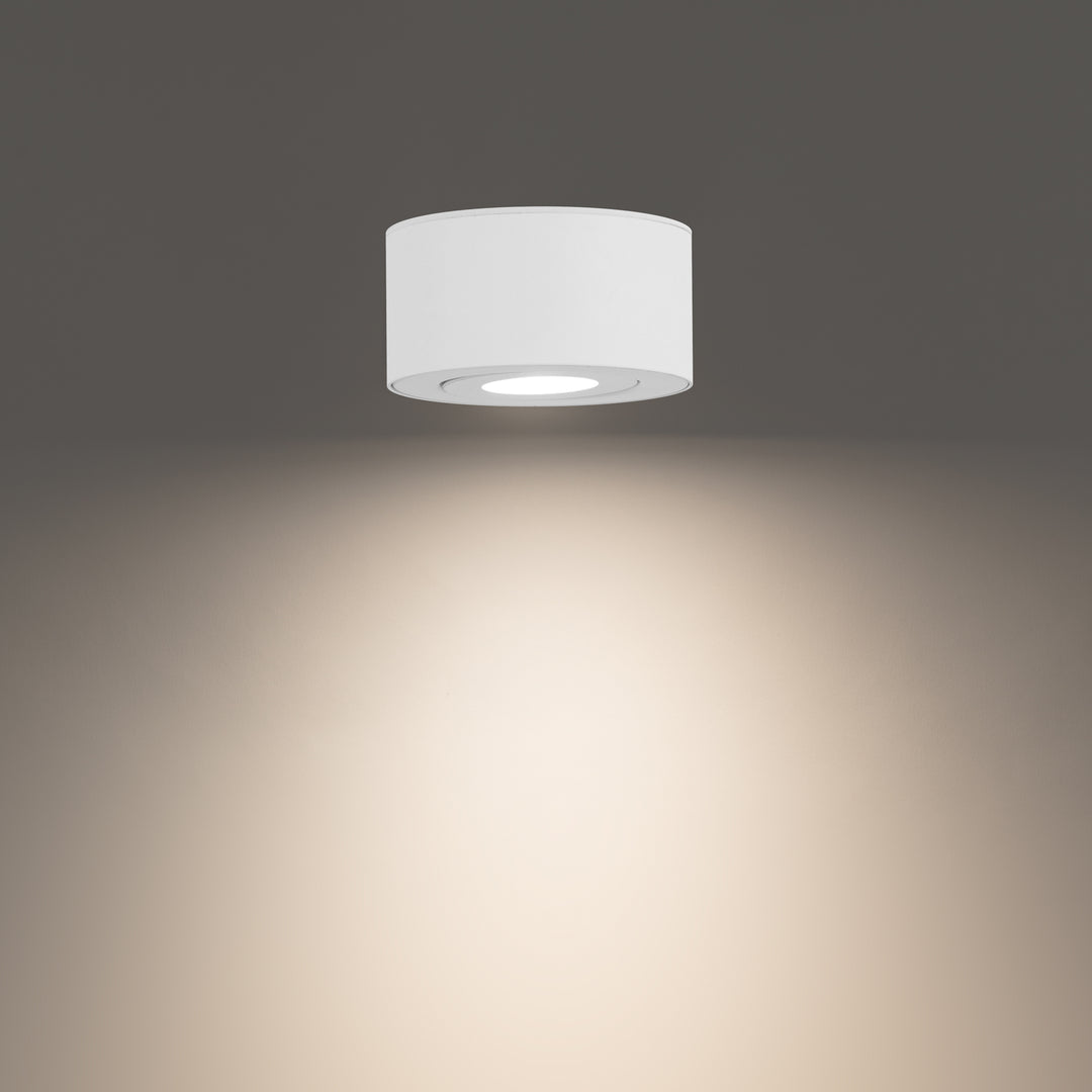 Peek Outdoor Ceiling Mount by WAC Lighting - view 4