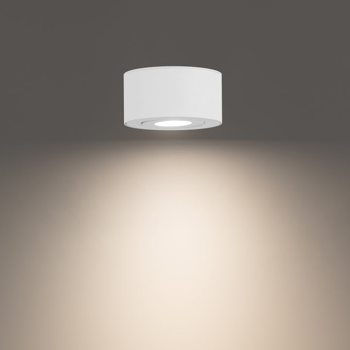 Peek Outdoor Ceiling Mount by WAC Lighting - view 4