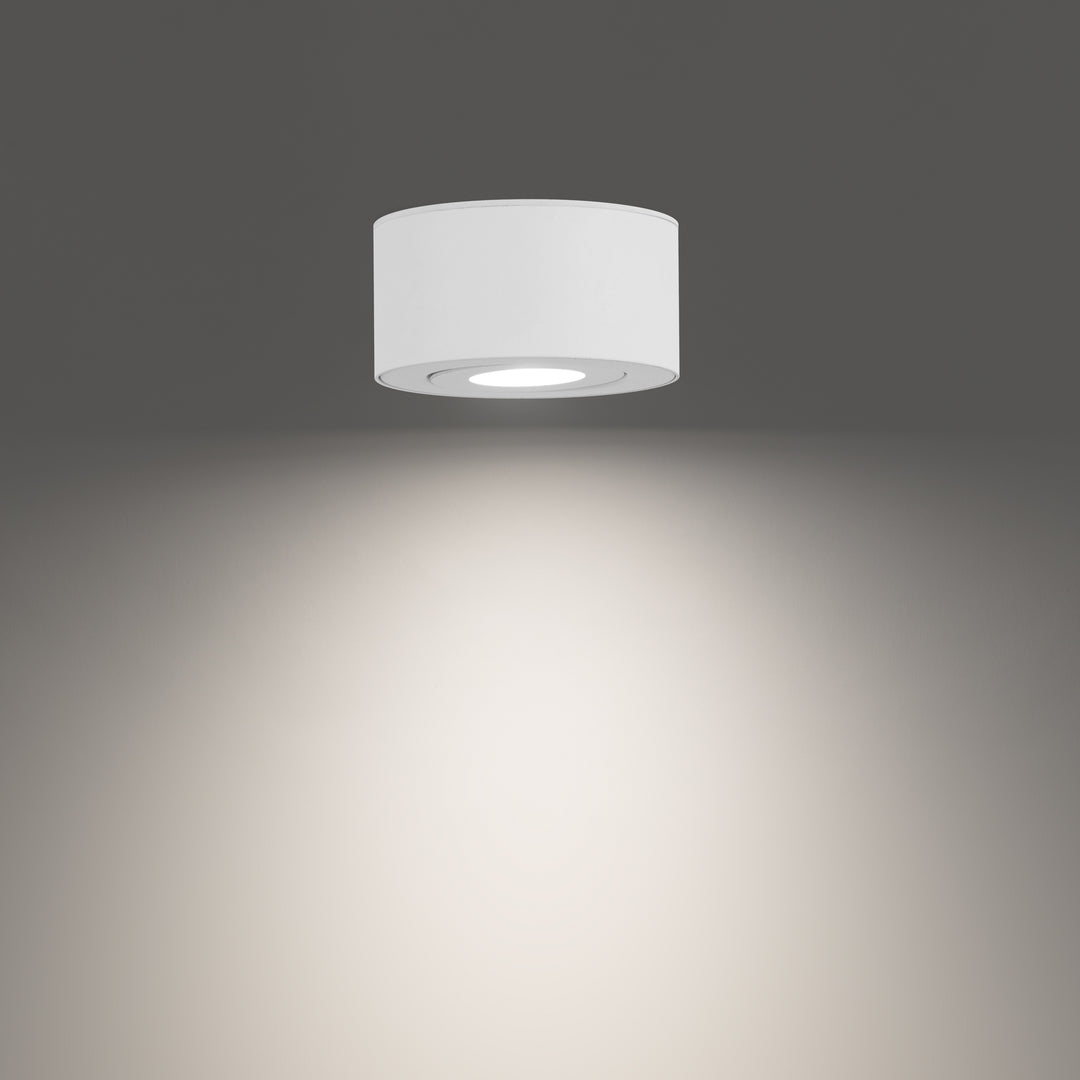 Peek Outdoor Ceiling Mount by WAC Lighting - view 5