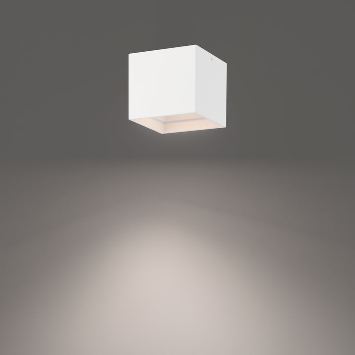 Downtown Square Outdoor Ceiling Mount