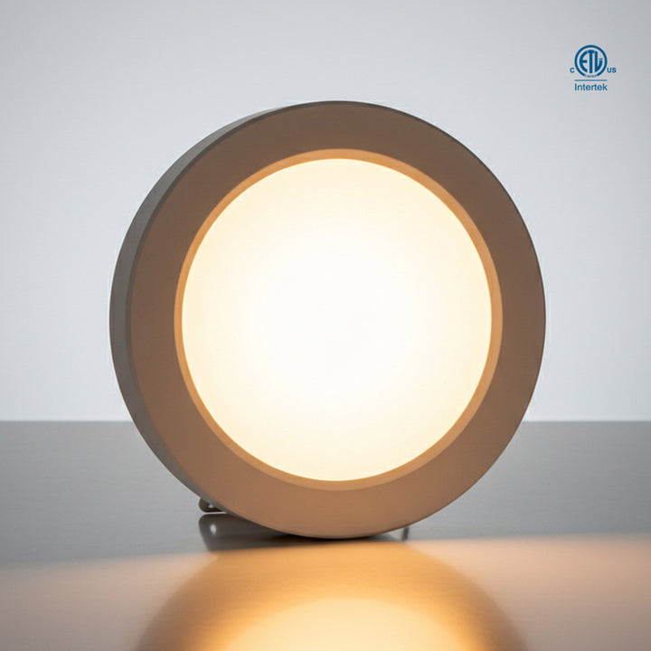 Super Slim LED Flush Mount 5CCT - FM1