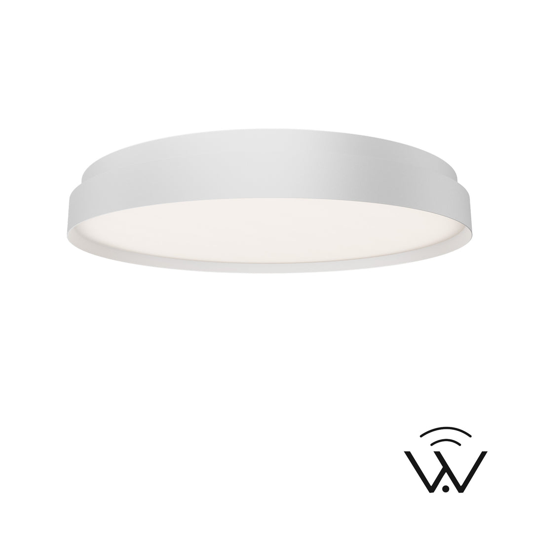 Ringsley Ceiling Mount