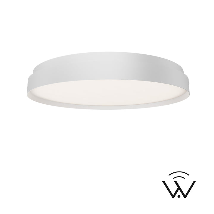 Ringsley Ceiling Mount