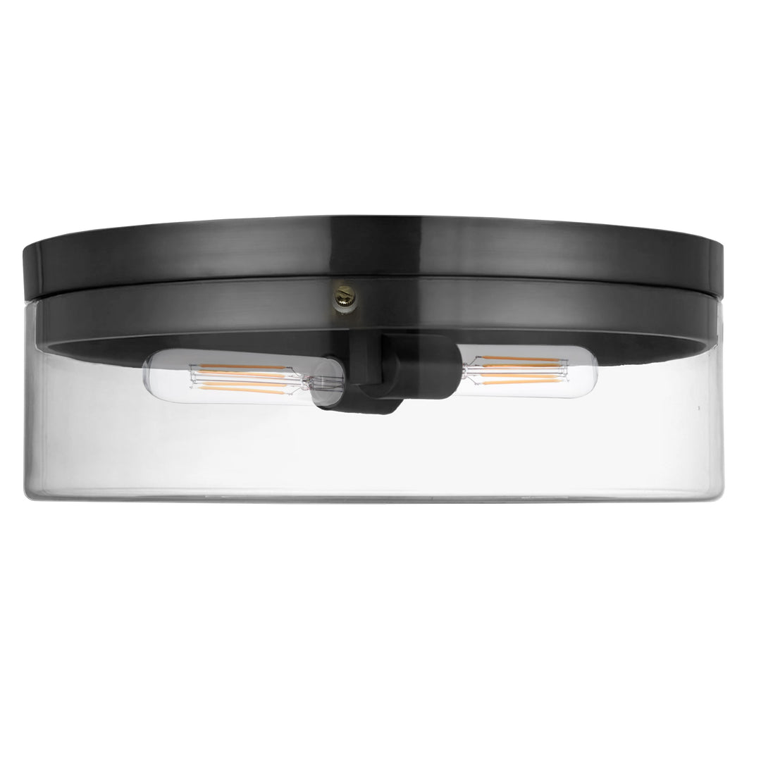 Fiona 2 Light Flush Mount in Matte Black by Dainolite
