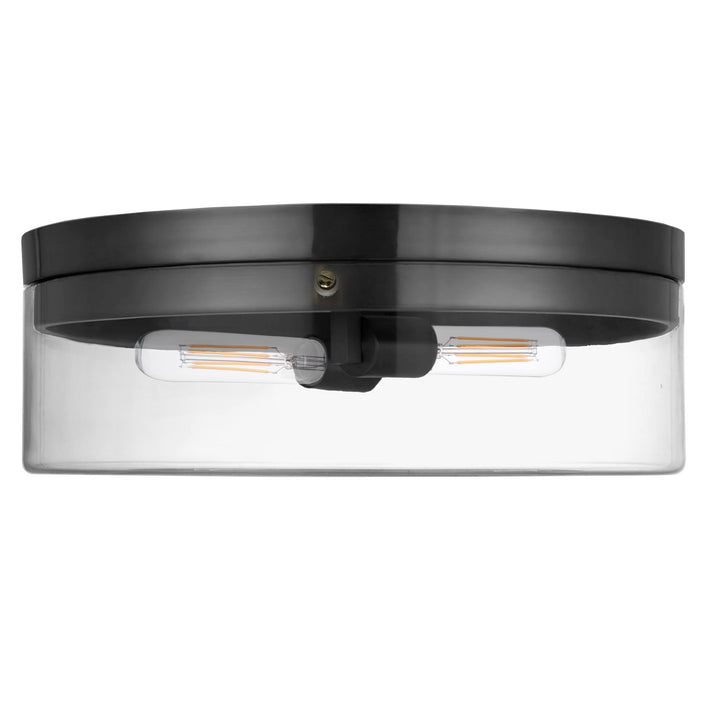 Fiona 2 Light Flush Mount in Matte Black by Dainolite