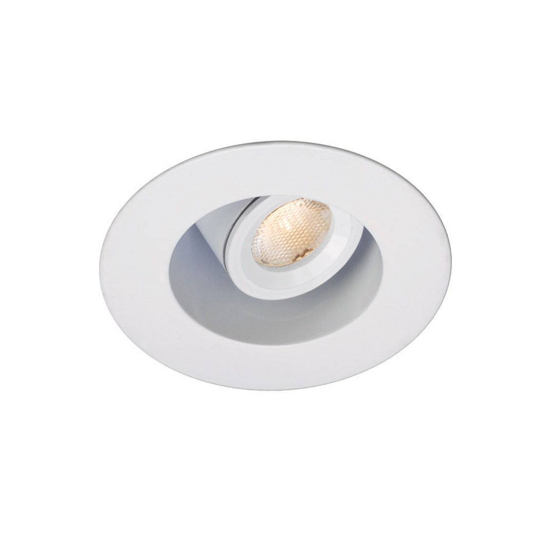 1" LEDme Round Adjustable Downlight (Remote Driver)