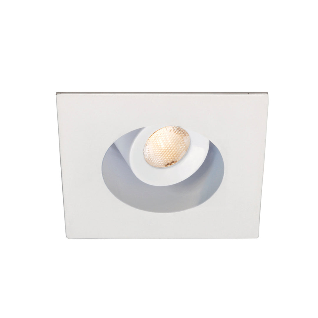 1" LEDme Square Adjustable Downlight (Remote Driver)