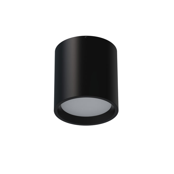 Kathleen 8W 5CCT Flush Mount by Dainolite
