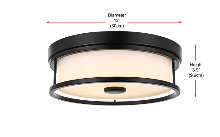 Series LD305 Flush Mount