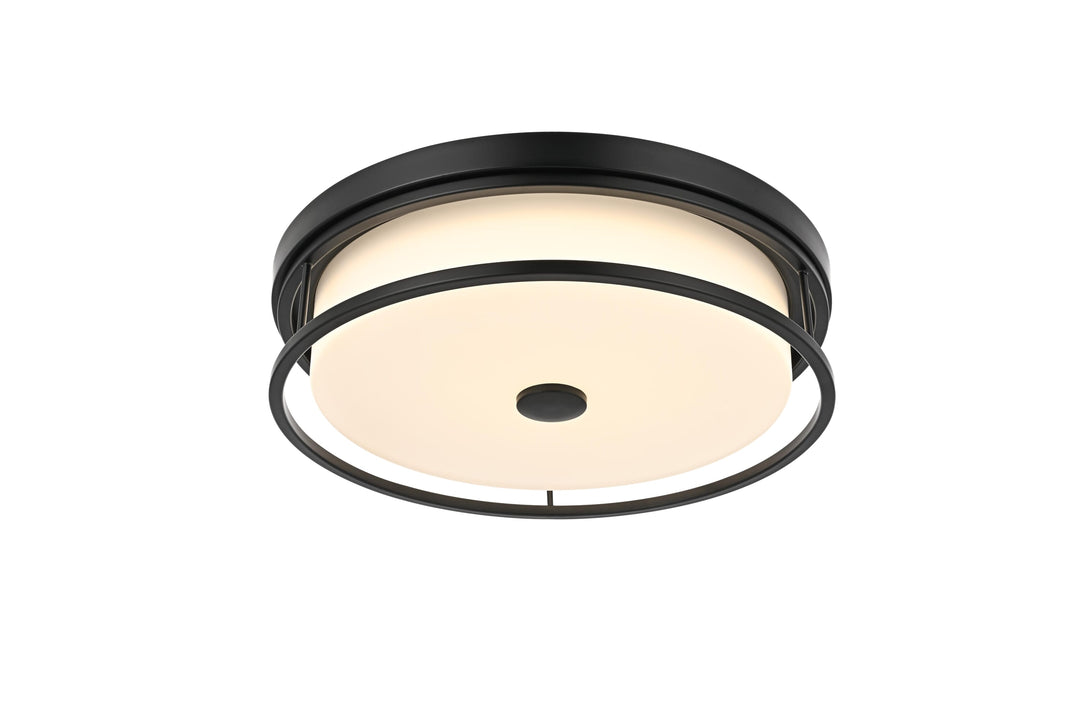 Series LD305 Flush Mount
