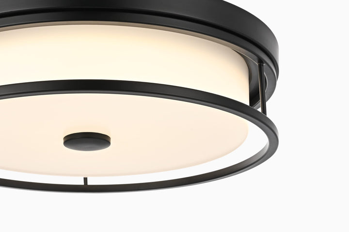 Series LD305 Flush Mount